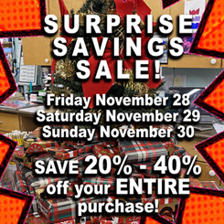 2025 Black Friday Surprise Savings Sale