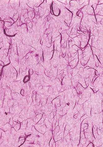 Unryu Tissues