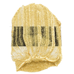 Tri-Art HV Acrylic - Iridescent Gold Pale