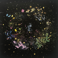 Gabriela Garcia-Luna