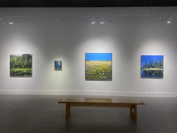 Rebecca Perehudoff exhibition installation image 01