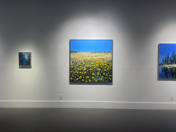 Rebecca Perehudoff exhibition installation image 02