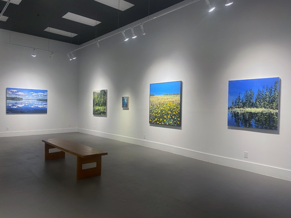 Rebecca Perehudoff exhibition installation image 03