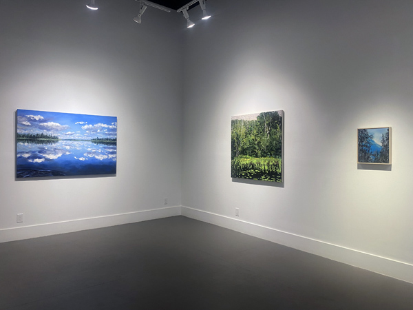 Rebecca Perehudoff exhibition installation image 04