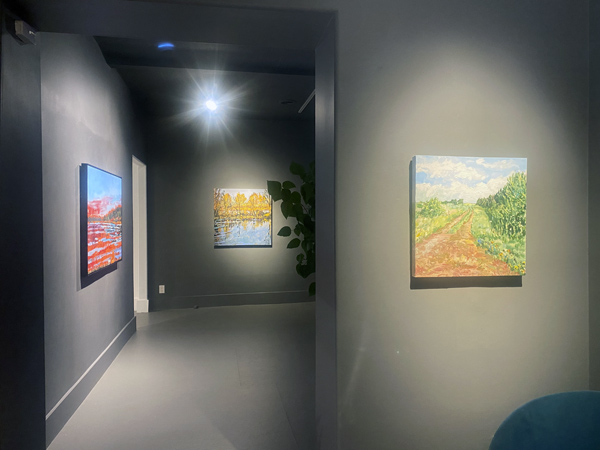 Rebecca Perehudoff exhibition installation image 13