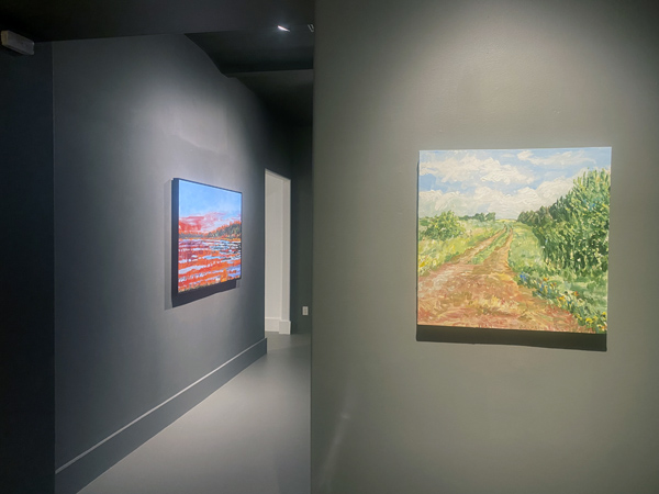 Rebecca Perehudoff exhibition installation image 14