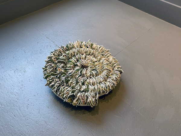 2024 faculty exhibition installation 20