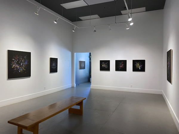 Gabriela Garcia-Luna install 02