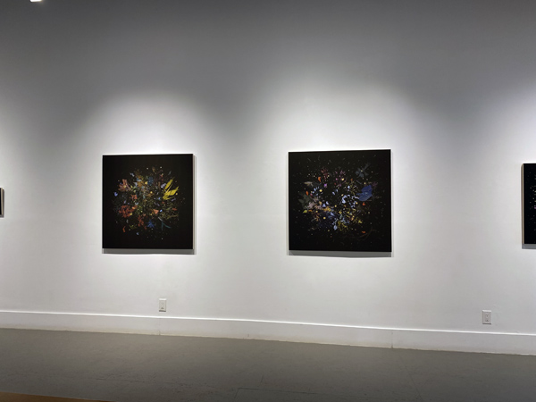 Gabriela Garcia-Luna install 05