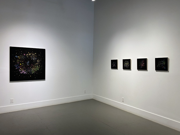 Gabriela Garcia-Luna install 06
