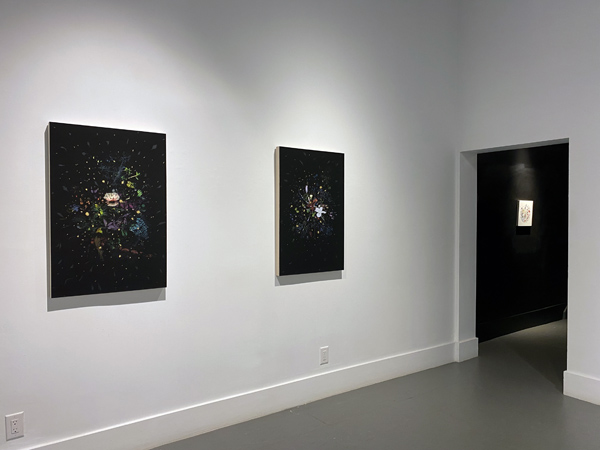 Gabriela Garcia-Luna install 09