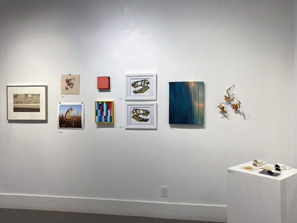 aka art draw 2025 install 06