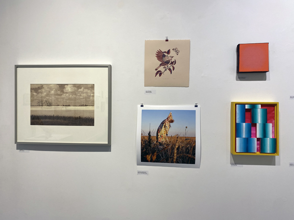 aka art draw 2025 install 20