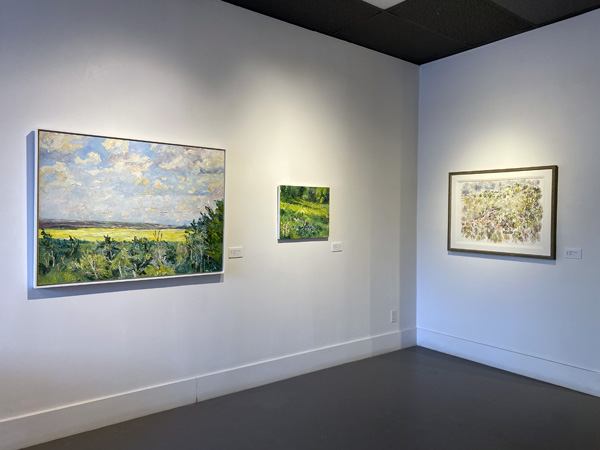 New Year Show 2026 02