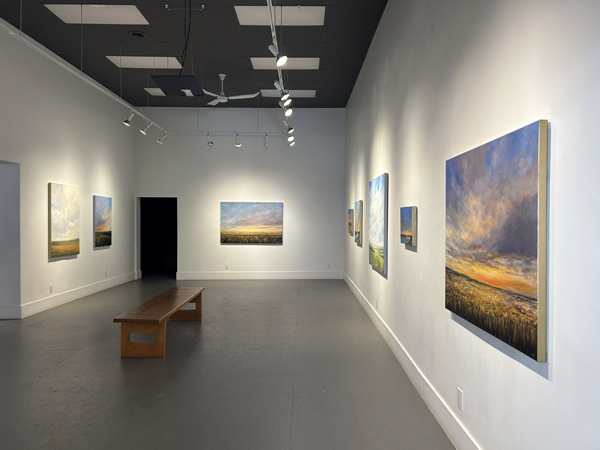 Jodi Miller exhibition install image 07