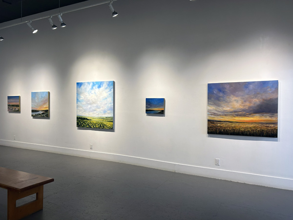 Jodi Miller exhibition install image 09