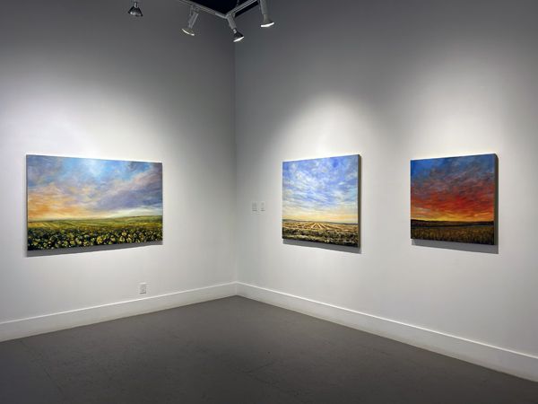 Jodi Miller exhibition install image 15